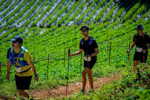 BIB: 
                            <button type="button" onclick="openModal(19164714)" class="btn btn-primary btn-sm float-right btn-popup" data-toggle="modal" data-target=".modal-high-quality">
                        <i class="fas fa-shopping-cart"></i> Add to Cart
                    </button>
                                            <button type="button" onclick="isThisMe(19164714, true)" class="btn btn-success btn-sm float-right btn-popup btn-isme hidden" data-toggle="tooltip" data-placement="bottom" title="นี่คือรูปของคุณใช่ไหม คลิกที่นี่เพื่อเอาเข้าอัลบั้ม">
                        <i class="fas fa-plus"></i> Add to album
                    </button>
                    <button type="button" onclick="isThisMe(19164714, false)" class="btn btn-warning btn-sm float-right btn-popup btn-isnotme hidden">
                        <i class="fas fa-ban"></i> Remove from album
                    </button>